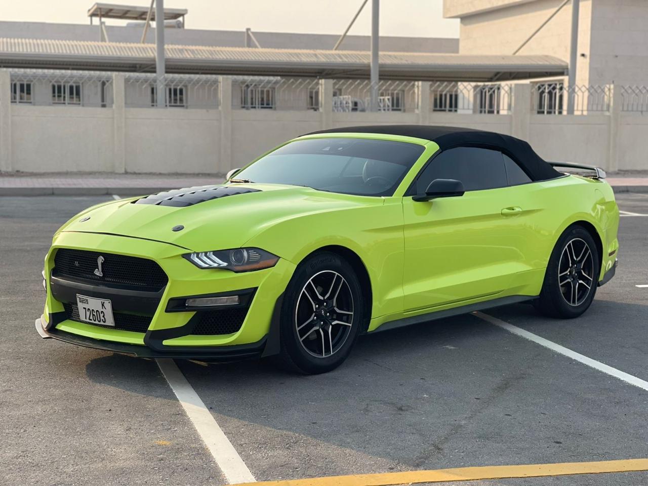 WhatsApp Image 2025-08-20 at 20.51.46_30beb9e5