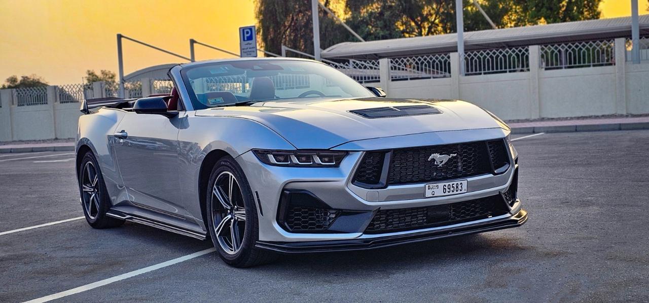 WhatsApp Image 2025-08-20 at 20.51.46_376bf8ed